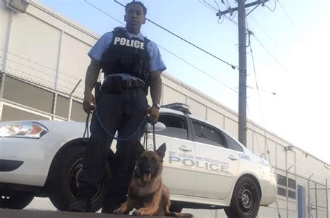 K-9 finds two teens hiding in dumpster after armed robbery in St. Louis